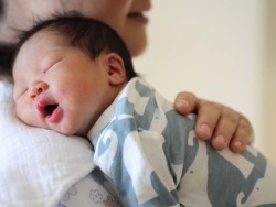 关于供卵代怀价格
