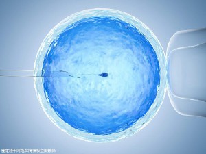 供卵代怀价格
